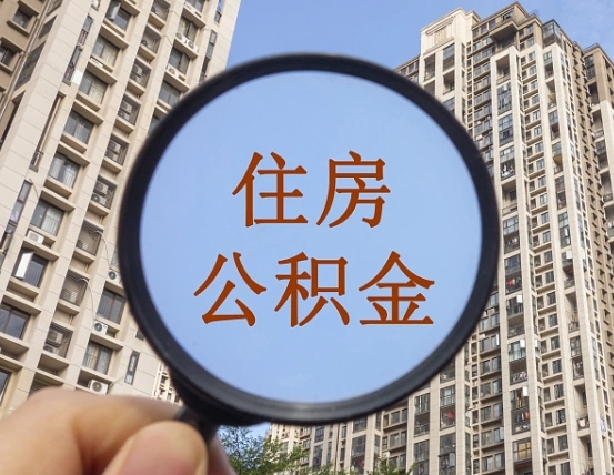 鹤壁被单位开除多久可以取公积金（被开除后多久能取公积金）